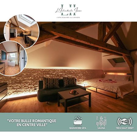 Evasion Chic, Spa Et Sauna Sous Les Toits Nancy Eksteriør billede