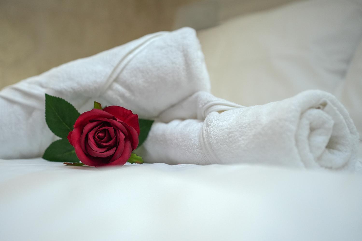 Evasion Chic, Spa Et Sauna Sous Les Toits Nancy Eksteriør billede