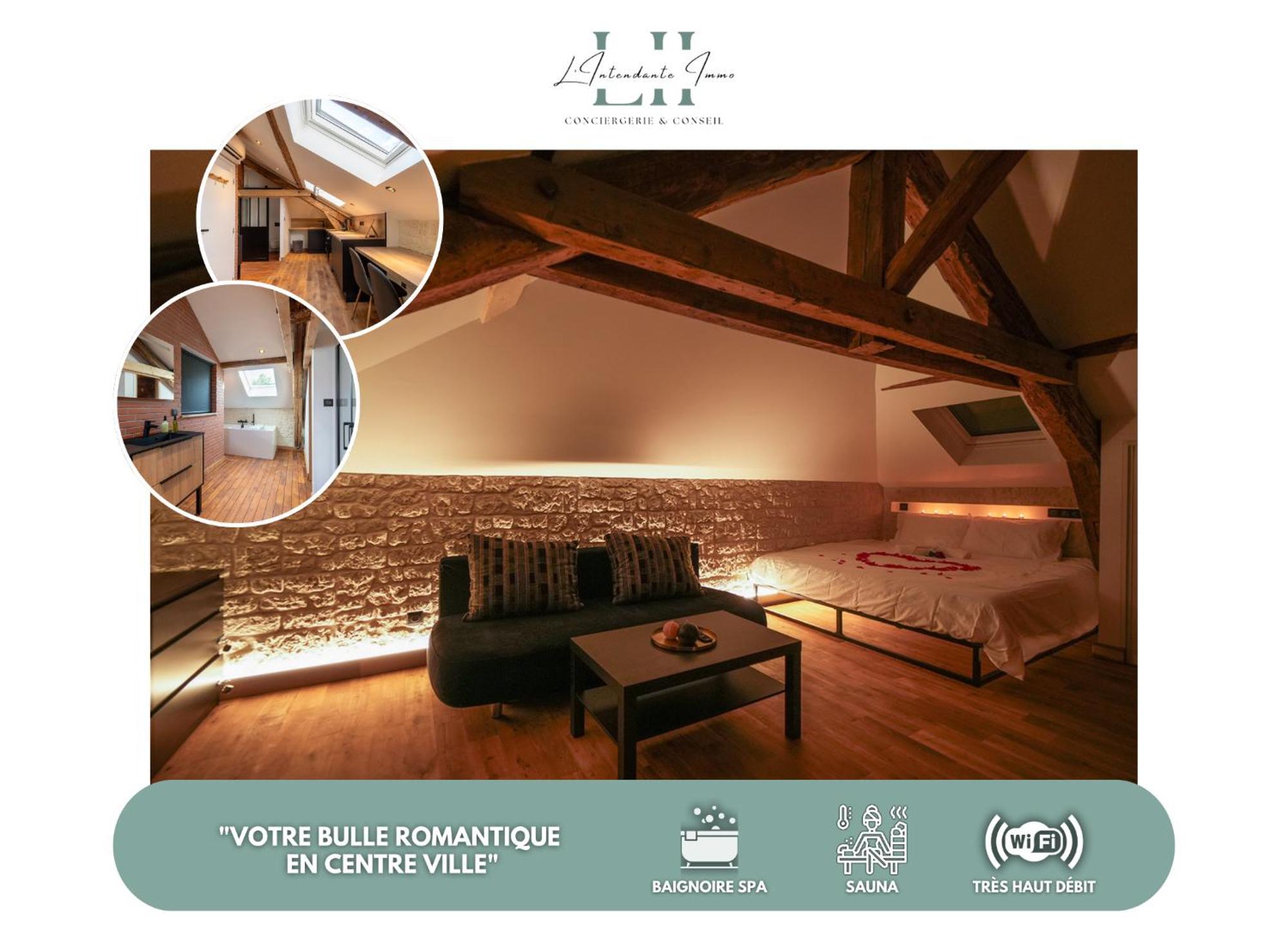 Evasion Chic, Spa Et Sauna Sous Les Toits Nancy Eksteriør billede